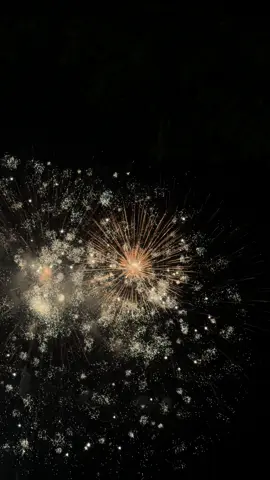 Mit wem wärt ihr gerne hier?🎆🫶 Pyronale Berlin 2024 #feuerwerk #wm #pyronale #2024 #fireworks #sky #friends 