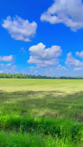 #cảnhđẹpthiênnhiên quê hương Miền Trung cảm giác thật #yênbình #vemientrung🌾 #nhachaymoingay #xuhuongtiktok #tamtrang 