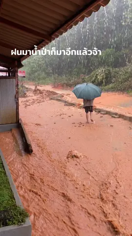 บนดอยยังขนาดนี้ ในเมืองต้องระวังกันนะ #ดอยผาตั้ง#ฝนตก#น้ำป่า#ภัยธรรมชาติ
