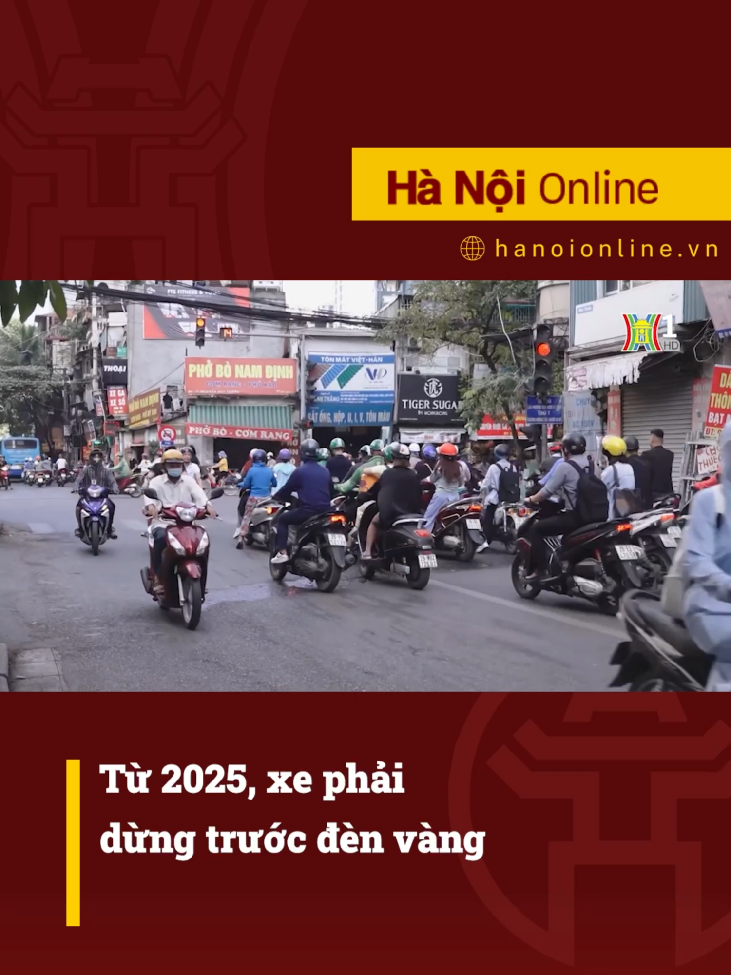 Từ năm 2025, xe phải dừng trước đèn vàng #htvdaihanoi #tiktoknews #viphamgiaothong #giaothong