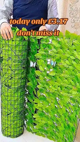 #tiktok#tiktokshop#tiktokmademebuyit#tiktokshopmademebuyit#spotlight#fyp#fypage#foryoupage#goodthing#viral#viralvideo#payday#paydaydeals#bigsavingdays#august#augustdealdrops#dealdrops#weekendsale#artificial#green#fence
