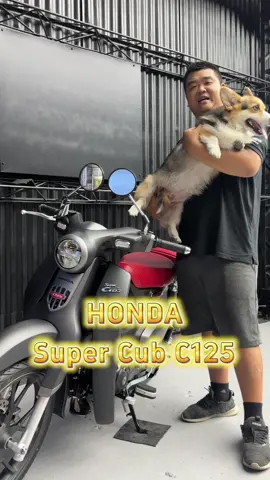 🔥Super cub c125 #honda #supercubc125 #宜蘭重機 #宜蘭輕檔車 #元一重車 #宜蘭元一 #輕檔車 #推薦 #熱門 #新手 