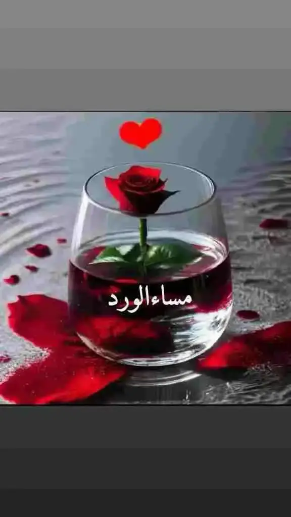 #احبكم_يا_احلى_متابعين❤️🌹🌹💕 