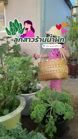#เฌออินท์ #LifeFarm #น้ำผัก #สุขภาพดี #เด็กสุขภาพดี #เด็กกินผัก 💚🧒🏻🌿