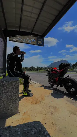 Taking my time on my ride 🏍️💨#soloride #miribikeweek #miribikeweek2024 #bike #ride #moto #motorcycle #kawasaki #z800 #z8 #kawasakiz800 #z800malaysia #kawasakiracing #kawasakirider #nakedbike #sbk #superbike #bigbike #streetfighter #biker #rider #alpinestars #bikelife #bikerlife #bikerlifestyles #motolife #Motorsport #fyp #pejuangpbic #borneo #panborneo #sarawak #CapCut 
