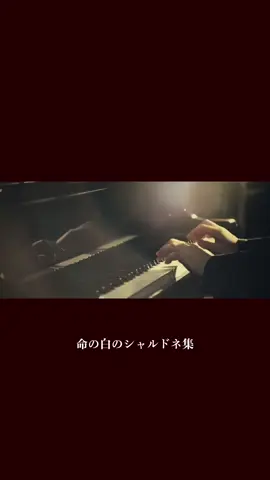 やっぱりここなんだよね😸生で見たい〜〜😾‼️#KinKiKids #堂本光一 #堂本剛 #薔薇と太陽