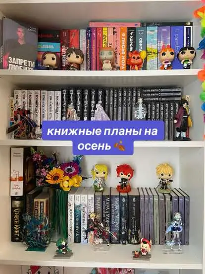 #букток #книги #книжныепланынаосень #кнмжныерекомендации 