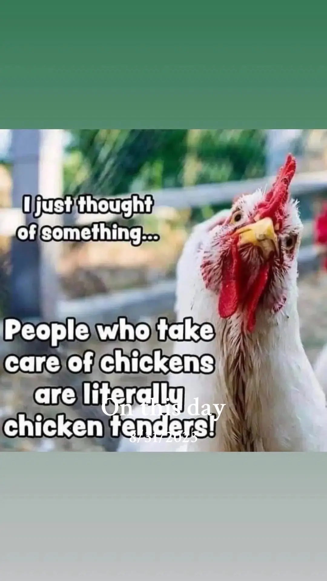 #onthisday #laughing #funny #chicken #chickentenders #jokes 