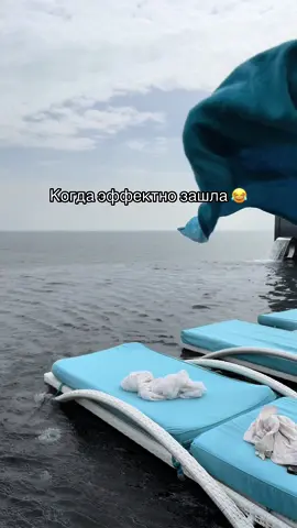 😂😂😂😂