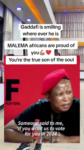 MALEMA africans are proud of you💪🏽❤️ You're the true son of the soul. Nigeria VS South Africa #quotesonjerry #goviral #fyp #motivation #makemefamous #quotes #funny 