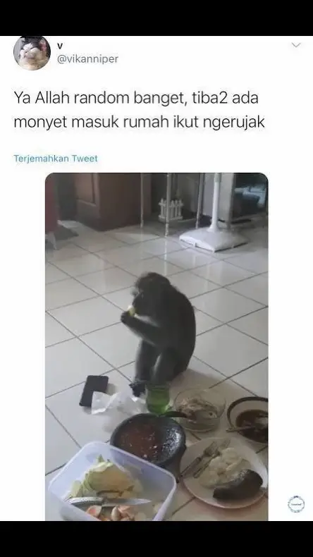 nimbrung aja😭😭