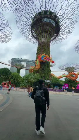 Mentally stuck here #singapore #gardensbythebay 