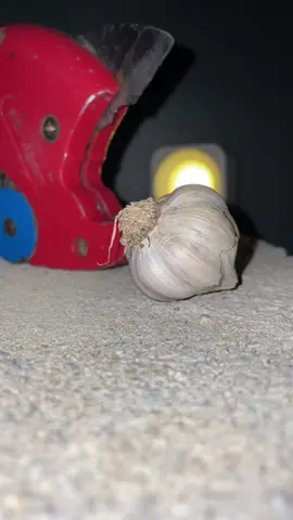 Destroying garlic🥹.    #cutting #garlic #asmr #viralvideo 