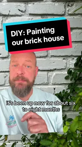 Had some questions about my brick painting experience, so here’s how we did it! #housepainting #diyproject #brick #sherwinwilliams #greenscreen 