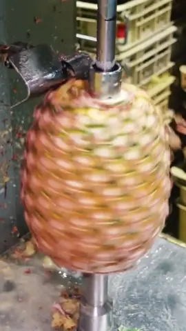 La fábrica china conmocionó al mundo.#descubrir #fábrica #fruta #piña #fabricar #parati