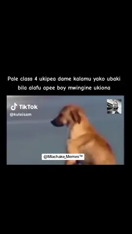 Paralyzed from #fyp #mlachake_official #fyppppppppppppppppppppppp #fypage #viral #fypシ #foryou #djafro #paralyzed #trending #trendingvideo #funny #relatable #kenyan 