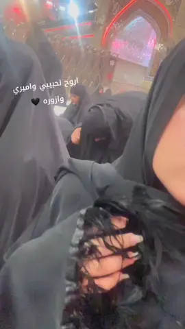 #النجف #زياره_الامام_علي_عليه_السلام 
