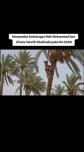 #padahariini #insyaallah #fypシ゚viral #maulidnabimuhamammadsaw #allahumabarik #allahridhoiallahberkahi #doayangbaikbaik #selfreminder #ngajiyuk 