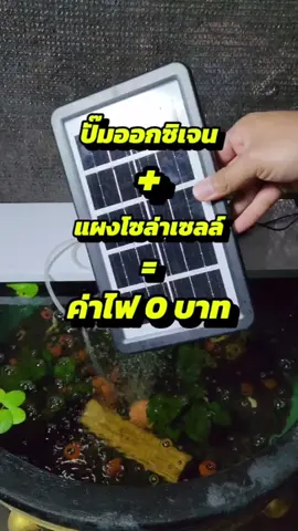 ชุดปั๊มออกซิเจนพร้อมแผงโซล่าเซลล์ #ปั๊มออกซิเจนโซล่าเซลล์ #ปั๊มออกซิเจน #แผงโซล่าเซลล์ #ออกซิเจนตู้ปลา #ปั๊มออกซิเจนusb #โซล่าเซลล์ #tiktokshop #เก่งคุง 