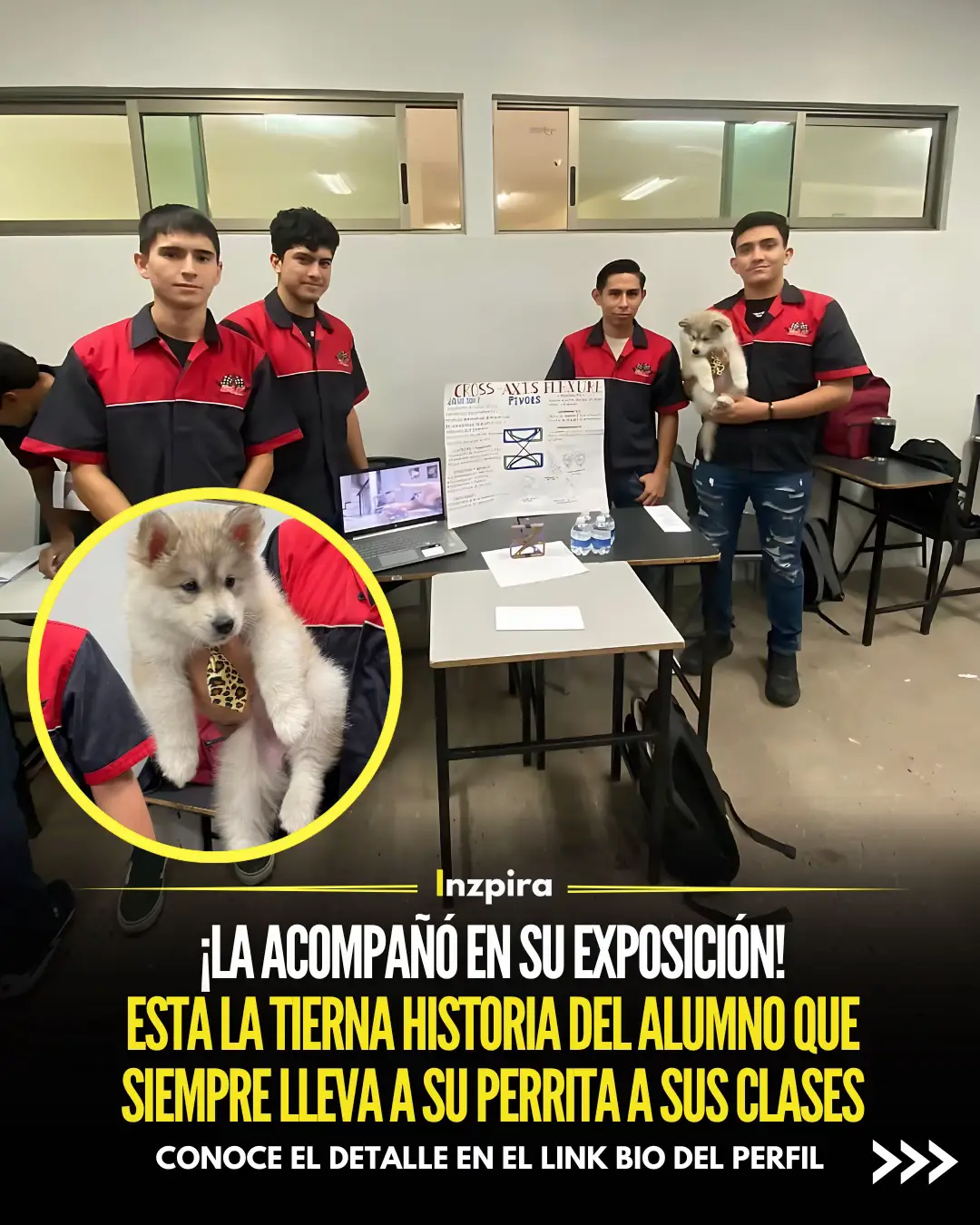 Este alumno decidió llevar su compromiso al siguiente nivel. Durante una exposición importante, no solo incluyó a su fiel compañera, sino que también la vistió con una corbata, dándole un toque formal y haciéndola parte activa de su presentación. ✅ Conoce su historia en el link bio del perfil.  • • • #Perrita #Animales #Amor #Mascotas #Compromiso 