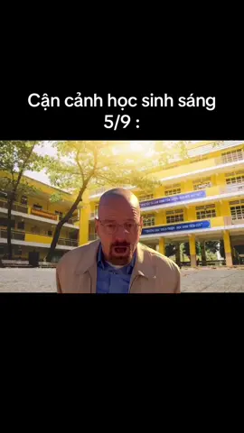 #BackToSchool #meme #walterwhite #breakingbad #tuutruong 