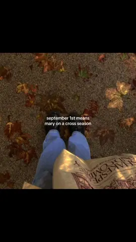 my first slideshow #fallaesthetic #autumn #maryonacross #autumn2022 