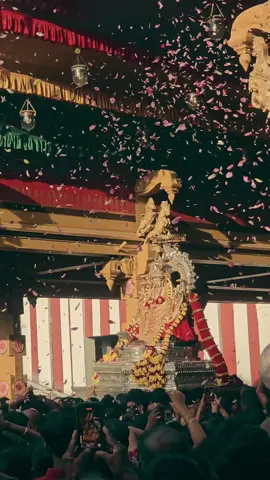 Alangaara Kanthan..🥹🙏🏻✨️ Nallur Murugan 🙏🏻🥹✨️ #jaffna #nallur #murugan #nallurmurugan #trinco #uoj #srilankantamil #nallurkandaswamytemple #nallurgalleries💚 #nallurans #murugan 