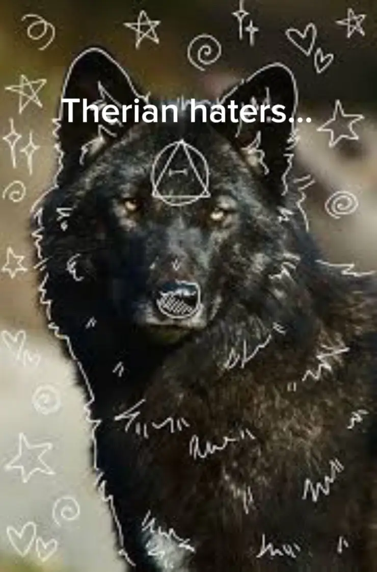 Why do therian haters hate on therians? #therianhater #therian #hatetherians #viral