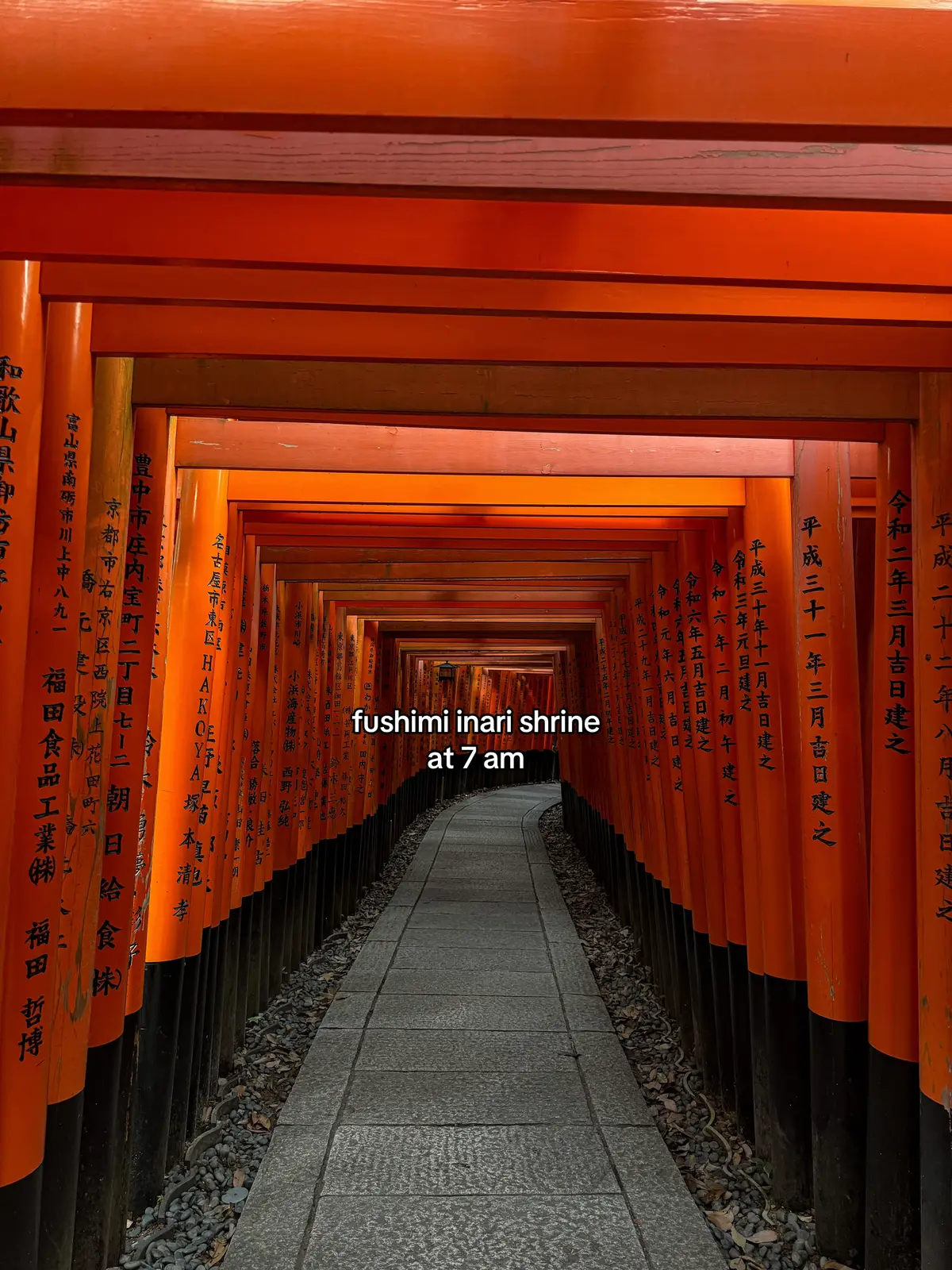 waking up early was so worth it #kyoto #japan #shrine 