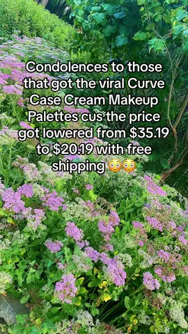 Such a good price 