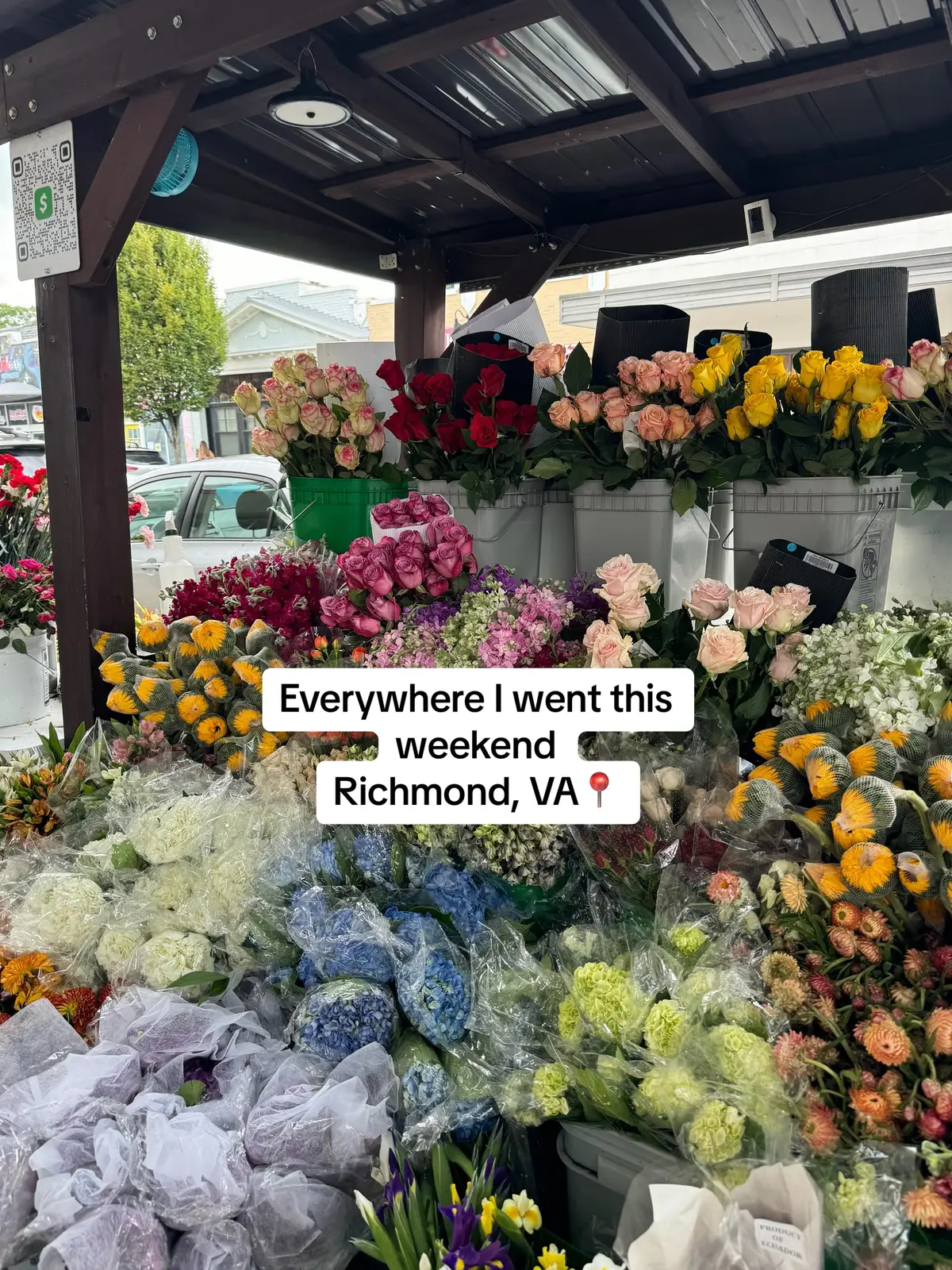 #richmond #va #richmondva #dc #trip #weekendtrip #weekend #WeekendVibes #food #Foodie #recommendations #dayinmylife #dcinfluencer #fyp #foryou #foryoupage #fypp #fypシ゚viral #beauvine #lillian #stellas #idlehands #coffee #bakery #carytown #tokyomarket #edgarallenpoe #poemuseum #thefatdragon #3monkeys #thingstodoinrva #rva #Summer #summervibes 