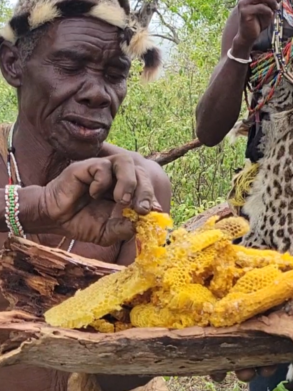 Hadzabe 93Yrs Old Man With Pure Honey#hadzabetribe 