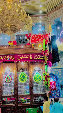 Mera Mirshid Shona Lal Lajpal Qalandar♥️