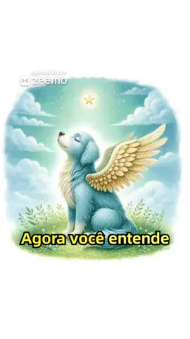 Este video é para todos aqueles que já perderam seus animais de estimação. #perda #dor #sofrimento #amaranimais #animais #amor #companhia #homenagem #ceu #estrelinha #saudade #animaldeestimação #força #videolegendado 