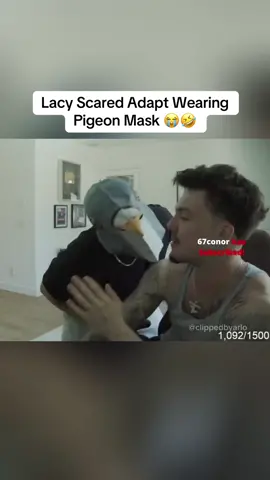Lacy Scared Adapt Wearing Pigeon Mask 😭🤣 #fyp #faze #fazeclan #lacy #adapt #fazeadapt 