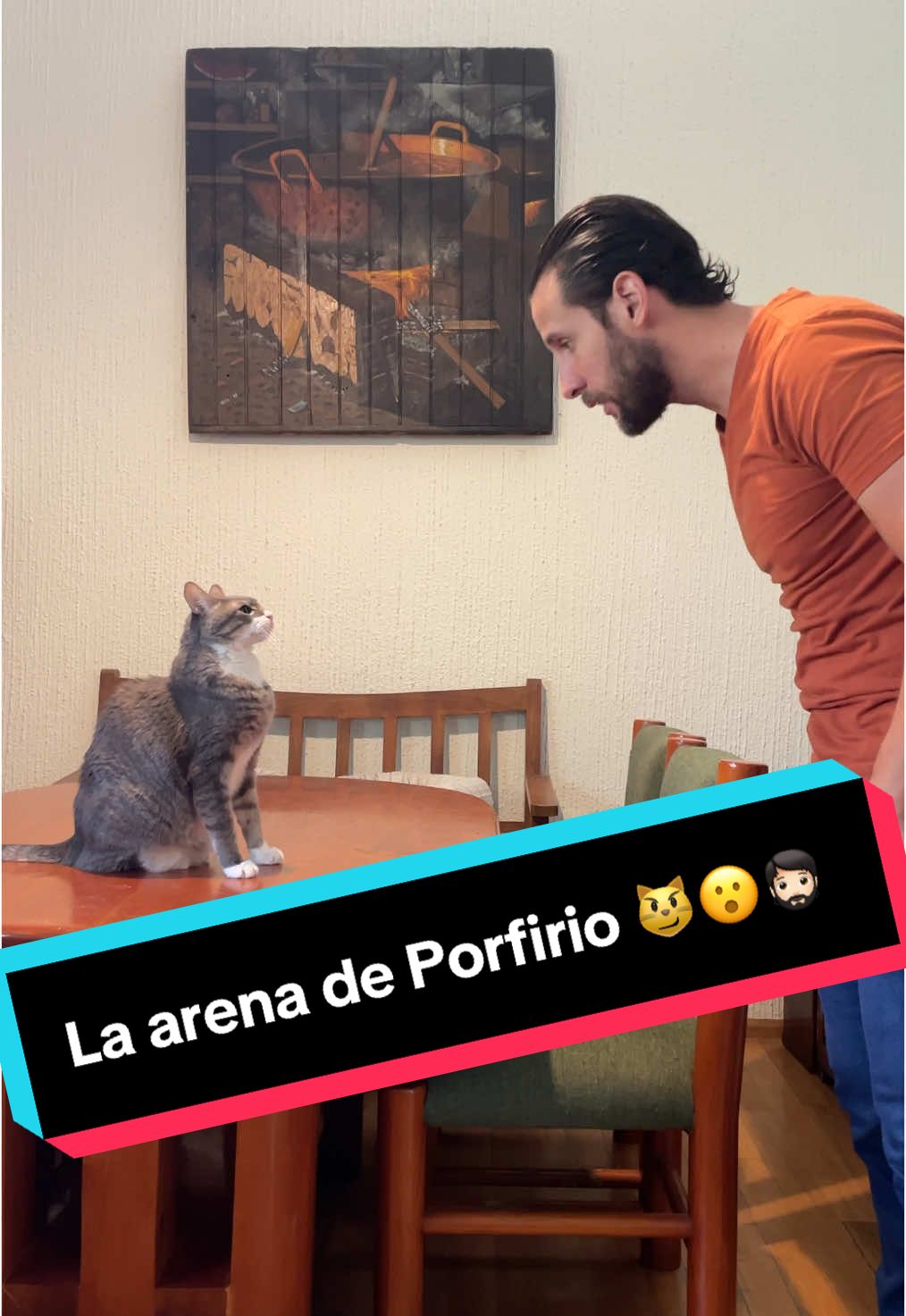 La arena de Porfirio 😼😮🧔🏻 @Grupo Acuario Lomas @Fancy Pets #flushaway #FancyPets 