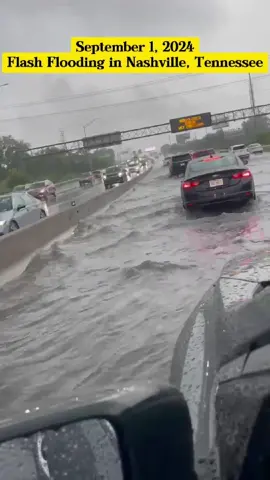 September 1, 2024 - Flash Flooding in Nashville, Tennessee #flood #flooding #flashflooding #rain #wind #disaster #severeweather #weather #news #September #2024 #Nashville #Tennessee #USA #foryou #viral 