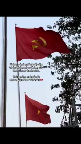 Chào mừng ngày Quốc Khánh Việt Nam 2/9/2024#quockhanh #xuhuong #fyp #abcxyz #trend 