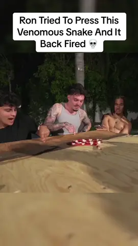 Ron Tried To Press This Venomous Snake And It Back Fired 💀 #faze #stableronaldo 