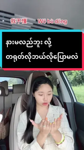 Replying to @Life cycle How to say “ I don’t understand “ in Chinese ? #everydaylife #dailyvlog #studychinesewithme #sharing #learnchinese #studychinese #Vlog #LanguageLearning #chineselanguagelearning #education 