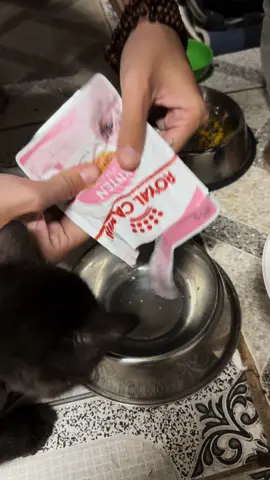 🌿 Một chiếc clip dành cho pet iu😸🐈❤️ của nhà e  👉 ✅ PATE ROYAL CANIN KITTEN INSTINCTIVE – MÈO CON Pate dạng ướt của Royal Canin dành cho mèo con có 3 dạng: Gravy (miếng có nước sốt), Jelly (dạng thạch) và Loaf (đặc nhuyễn) Công thức của thức ăn cho mèo con dạng ướt ROYAL CANIN KITTEN INSTINCTIVE  được tạo ra với sự cân bằng tối ưu giữa các protein, chất béo và carbohydrate để hỗ trợ sự ngon miệng, bổ sung dinh dưỡng hoàn hảo. Hỗ trợ mèo mẹ đang mang thai và cho con bú Hỗ trợ sức khỏe hệ thống miễn dịch 100% dinh dưỡng cân bằng Bảo đảm 100% đạt mức độ hài lòng ROYAL CANIN KITTEN INSTINCTIVE dành cho mèo mẹ đang mang thai, giai đoạn cho con bú và mèo con đến 12 tháng tuổi. Lợi ích:  Tăng cường hệ miễn dịch: hỗ trợ hệ thống miễn dịch của mèo con trong giai đoạn thứ 2 Dễ nhai Mùi vị thu hút theo bản năng Nguyên liệu Thịt và dẫn xuất từ thịt, protein thực vật, dẫn xuất từ thực vật, ngũ cốc, khoáng chất, dầu và chất béo, men, các loại đường. Phụ gia dinh dưỡng: Vitamin D3, E1 (Sắt), E2 (I ốt), E4 (Đồng), E5 (Mangan), E6 (Kẽm). 👉Bên e có bán các mặt hàng dành cho CHÓ và MÈO tại Grap Merchant Mpet 442 mọi người tha hồ lựa chọn  👉Link e để bên dưới nha 🏡: 442/2 Gia phú f3 q6  📲: 0908266361 https://grab.onelink.me/2695613898?pid=inappsharing&c=5-C6U1VGMXCPVERT&is_retargeting=true&af_dp=grab%3A%2F%2Fopen%3FscreenType%3DGRABMART%26sourceID%3DA4pcqCZkS4%26merchantIDs%3D5-C6U1VGMXCPVERT&af_force_deeplink=true&af_web_dp=https%3A%2F%2Fwww.grab.com%2Fdownload#peterparker #pets #petlover  @Phi Tú  @Phi Tú  @Phi Tú 