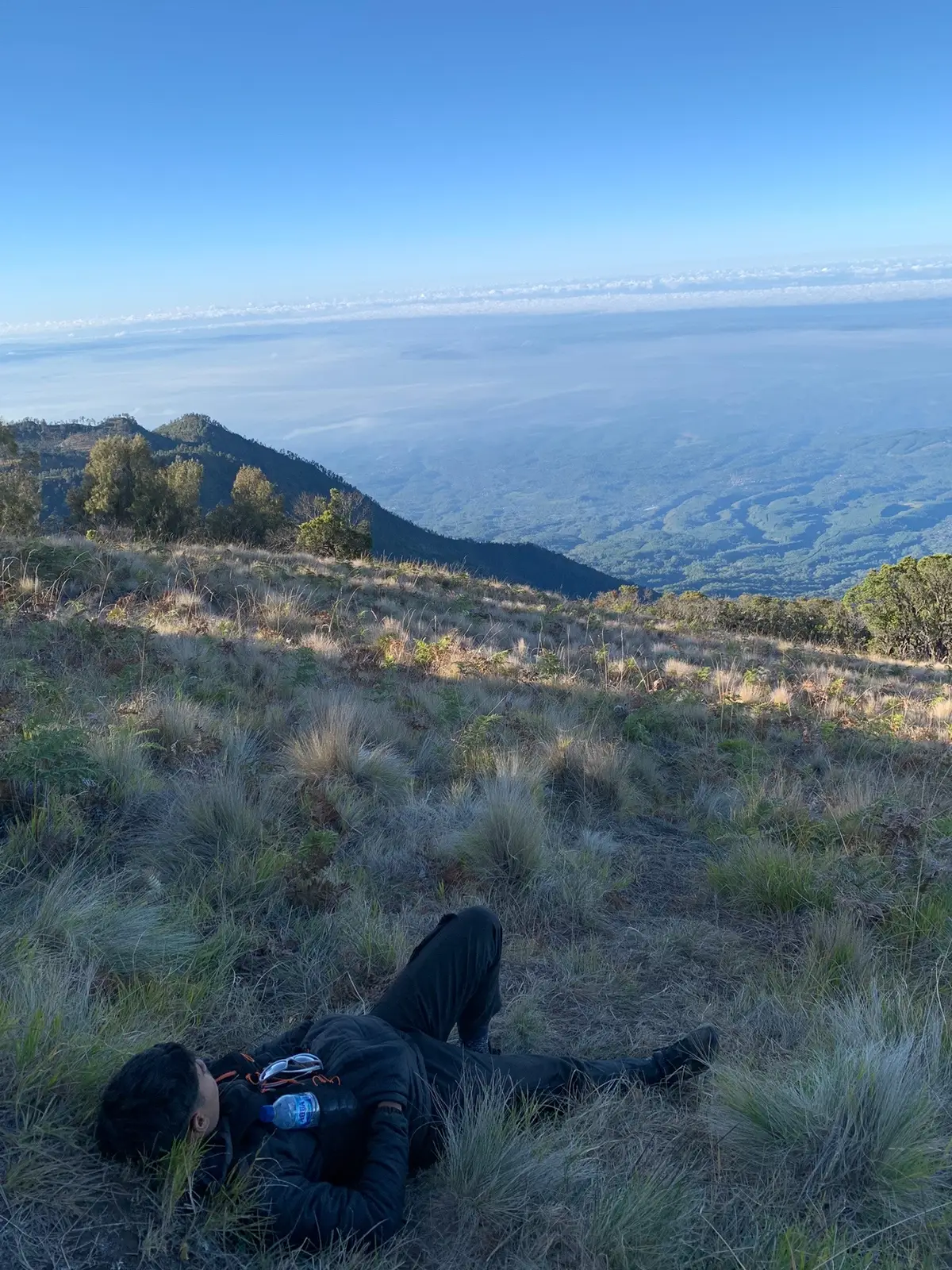 #pendakigunung #pendaki #pendakifomo #gunung #buthak_2868_mpdl #buthakviapanderman #galaubrutal 