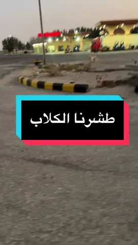 جهاز طارد الكلاب و القطط #فوبيا_الكلاب #فوبيا #فوبيا_القطط 