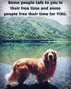 appreciate these people. they are your real ones, your friends or even loved ones. #dog #wisdom #positivity #hope #hopecore #positivevibes #quote #poetry #dogsoftiktok #time #freetime #deep #viral #foryou #fy #fyp #friends 