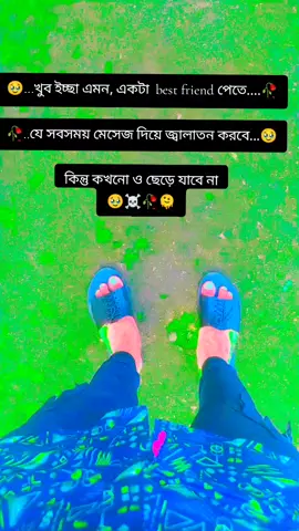 #newsong2024 @❤️🤝..সাথি হারা পাখি আমি..❤️🤝 