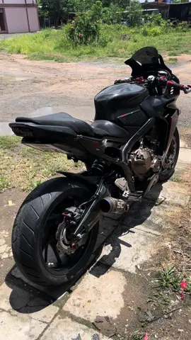 ลั้นจนข้างบ้านด่า#cbr650f #cbr650fthailand #สุรินทร์ 