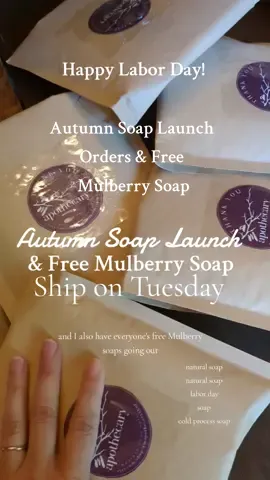 Autumn Soap Launch orders ship out Tuesday, Sept 3rd, 2024. 🍁 #naturalsoap #witch #fall 