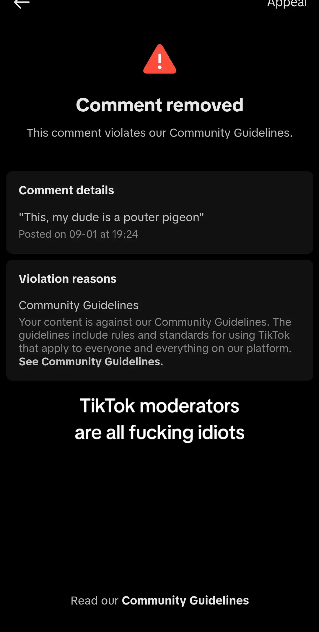 I said what I said #tiktok #cherrypicking #moderation #commentremoved #commentrestored #idiots #snowflakes #noviews #dontcare #fyp 