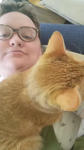 who needs to breathe when you have cat snuggles? #cat #catsoftiktok #orangecat #tater 