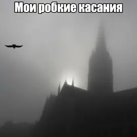 #812 #фортуна #юпи #fortuna812 #yupi #открытка #трек #song #songlyrics #fyp #fypage #viral 